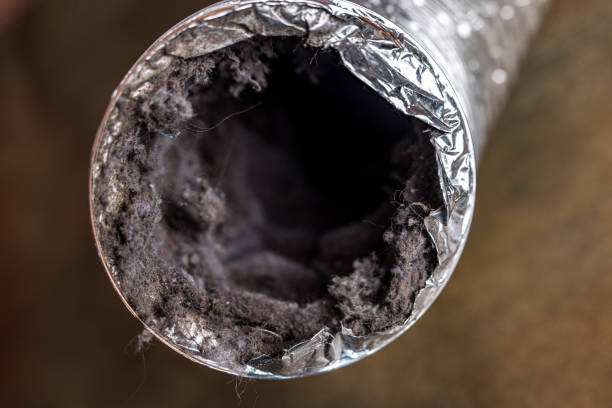 Best Affordable Duct Cleaning Services  in Edgewood, WA