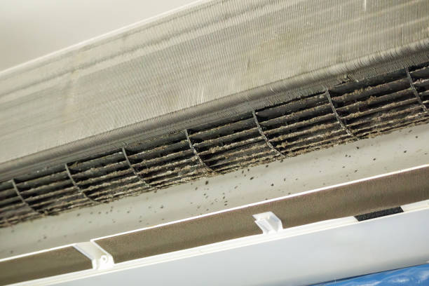 Home Air Vent Cleaning in Edgewood, WA